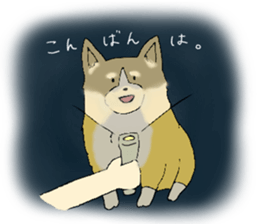 Corgi who wanted to be a man sticker #11457665