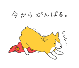 Corgi who wanted to be a man sticker #11457671