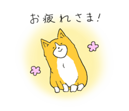Corgi who wanted to be a man sticker #11457675