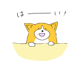 Corgi who wanted to be a man sticker #11457680