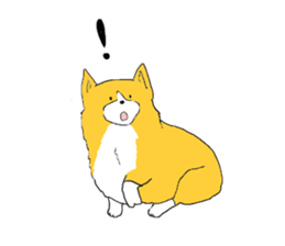 Corgi who wanted to be a man sticker #11457696