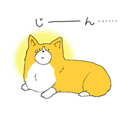 Corgi who wanted to be a man sticker #11457698