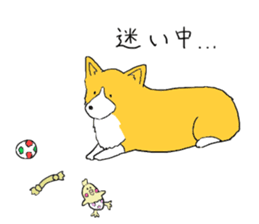 Corgi who wanted to be a man sticker #11457699