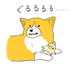Corgi who wanted to be a man sticker #11457700