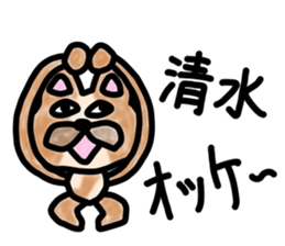 sticker of SHIMIZU ver. to SHIMIZU sticker #11458024