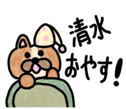 sticker of SHIMIZU ver. to SHIMIZU sticker #11458052