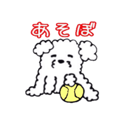 every day of funny animals sticker #11459109