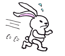 every day of funny animals sticker #11459139