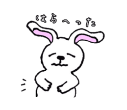 every day of funny animals sticker #11459143