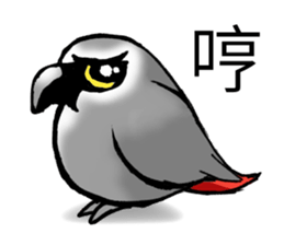 Angry Parrot sticker #11459705