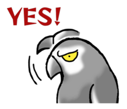 Angry Parrot sticker #11459711