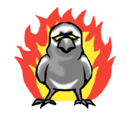Angry Parrot sticker #11459721