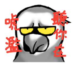 Angry Parrot sticker #11459730