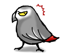 Angry Parrot sticker #11459735