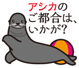 Pun ZOO sticker #11461465