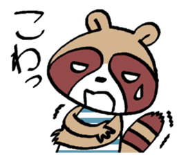 Various words of raccoon sticker #11461528