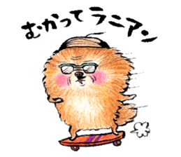 pome-manian3 sticker #11464104