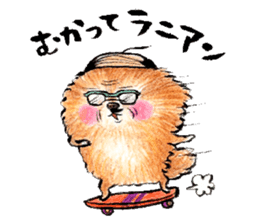 pome-manian3 sticker #11464104