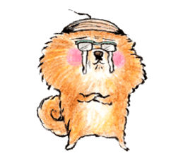 pome-manian3 sticker #11464107