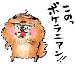 pome-manian3 sticker #11464110