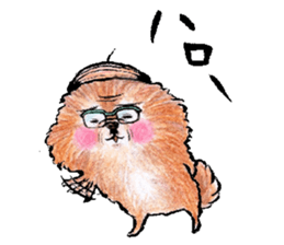 pome-manian3 sticker #11464115