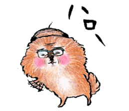 pome-manian3 sticker #11464115