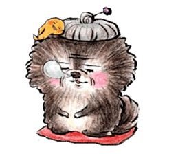 pome-manian3 sticker #11464120