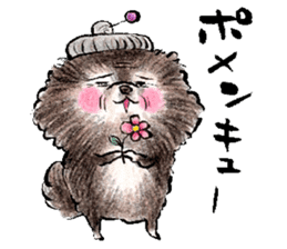 pome-manian3 sticker #11464126