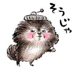 pome-manian3 sticker #11464127