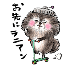 pome-manian3 sticker #11464130