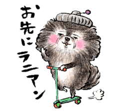 pome-manian3 sticker #11464130