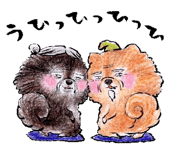 pome-manian3 sticker #11464134