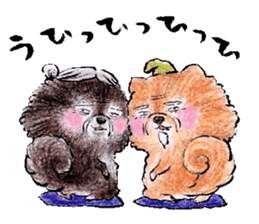 pome-manian3 sticker #11464134