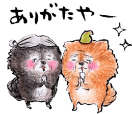 pome-manian3 sticker #11464135