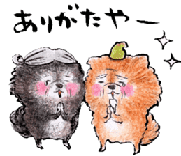 pome-manian3 sticker #11464135