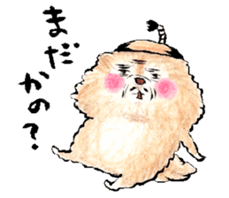 pome-manian3 sticker #11464137