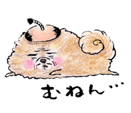 pome-manian3 sticker #11464139