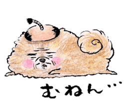 pome-manian3 sticker #11464139