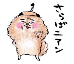 pome-manian3 sticker #11464141