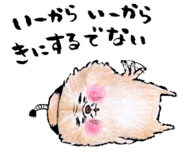 pome-manian3 sticker #11464142