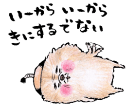 pome-manian3 sticker #11464142