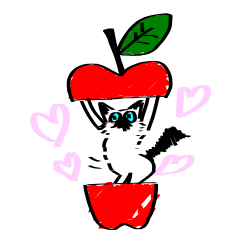My Birman cat