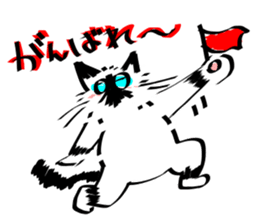 My Birman cat sticker #11465225