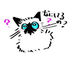 My Birman cat sticker #11465229