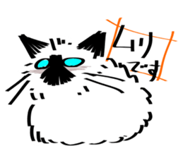My Birman cat sticker #11465240