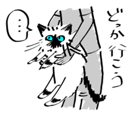 My Birman cat sticker #11465244