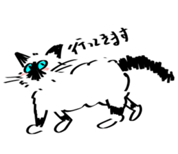 My Birman cat sticker #11465246
