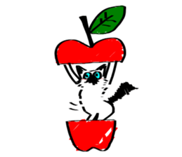 My Birman cat sticker #11465252