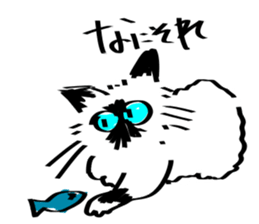 My Birman cat sticker #11465257