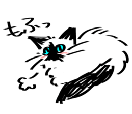 My Birman cat sticker #11465262